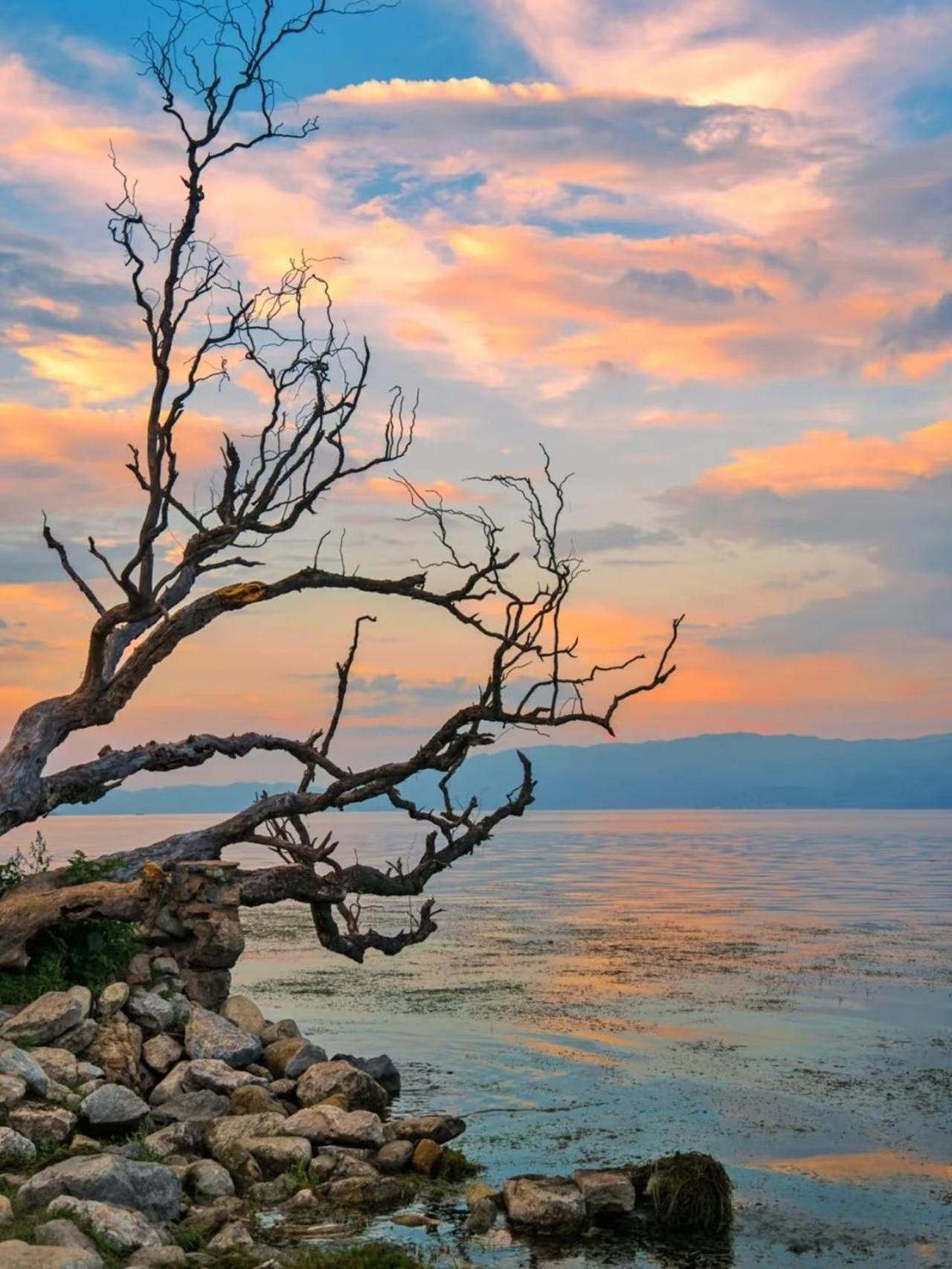 Dali Nest Secret Garden Lake View Inn Buitenkant foto